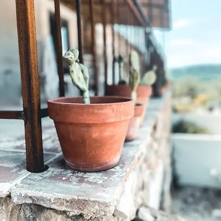 Villa Dans Un Domaine - La Belle Epoque- Uzes - 6 Personnes *